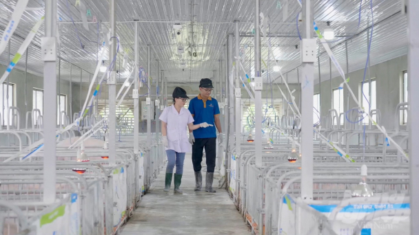 Dong Nai to direct untangling production linkage support policies
